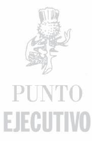 PUNTO EJECUTIVO