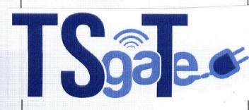 TSGATE