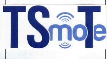 TSMOTE