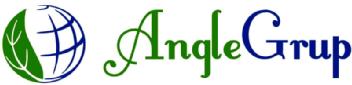 ANGLE GRUP