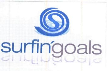 SURFIN'GOALS