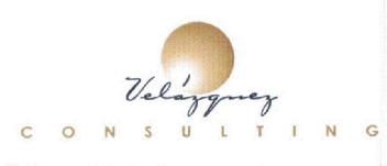 VELAZQUEZ CONSULTING