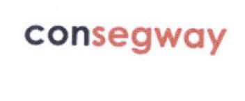 CONSEGWAY