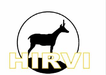 HIRVI