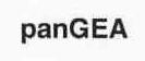 PANGEA