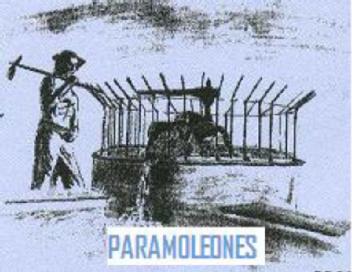 PARAMOLEONES