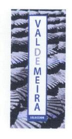 VALDEMEIRA SELECCION