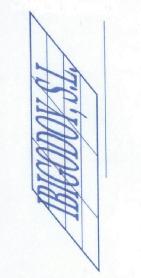 IBIGODOY S.L