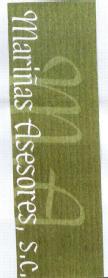 MA MARIÑAS ASESORES, S.C