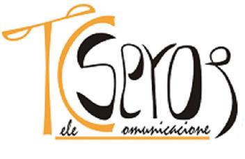 TELECOMUNICACIONES SEROS