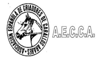 ASOCIACION ESPAÑOLA DE CRIADORES DE CABALLOS ARABES A.E.C.C.A