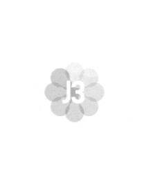 J3