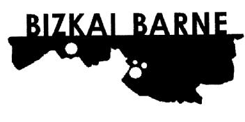 BIZKAI BARNE