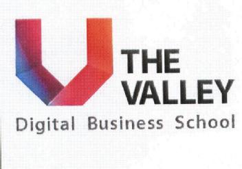 THE VALLEY DIGITAL BUSINESS SCHOOL