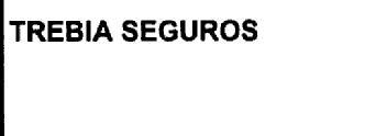 TREBIA SEGUROS