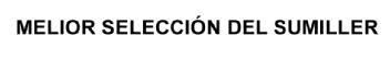 MELIOR SELECCION DEL SUMILLER