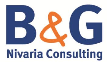 B&G NIVARIA CONSULTING
