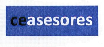 CEASESORES