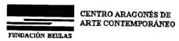 FUNDACION BEULAS CENTRO ARAGONES DE ARTE CONTEMPORANEO