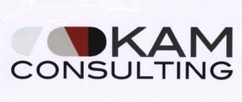KAM CONSULTING