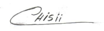 CHIS¡¡