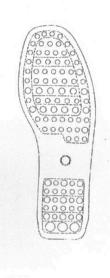 M3002421(8)