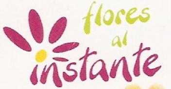 FLORES AL INSTANTE