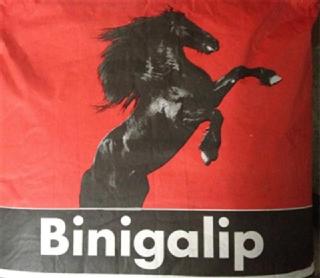 BINIGALIP