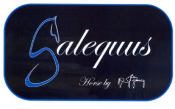 GALEQUUS HORSE BY GOMEZ
