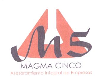 M 5 MAGMA CINCO ASESORAMIENTO INTEGRAL DE EMPRESAS