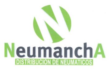 N NEUMANCHA DISTRIBUCION DE NEUMATICOS