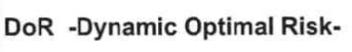 DOR- DYNAMIC OPTIMAL RISK-