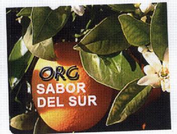 ORG SABOR DEL SUR