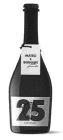 MATEO & BERNABE AND FRIENDS 25 SANTIAGO