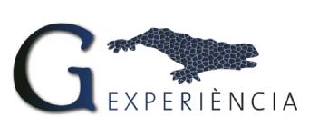 G EXPERIENCIA