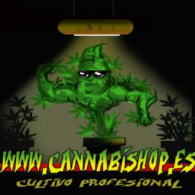WWW.CANNABISHOP.ES CULTIVO PROFESIONAL