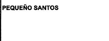 PEQUEÑO SANTOS