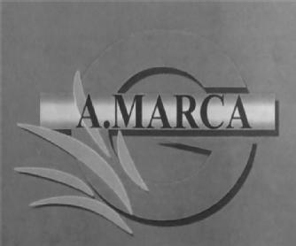 G A.MARCA