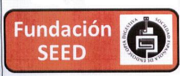 FUNDACION SEED