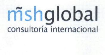 MSHGLOBAL CONSULTORIA INTERNACIONAL