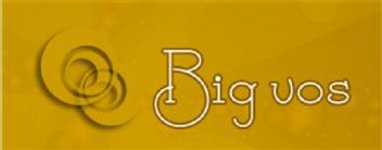 BIG VOS