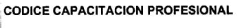 CODICE CAPACITACION PROFESIONAL