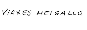 VIAXES MEIGALLO