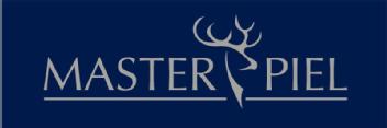 MASTERPIEL