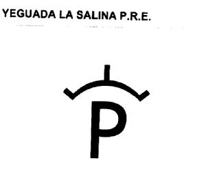 YEGUADA LA SALINA P.R.E