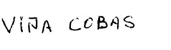 VIÑA COBAS