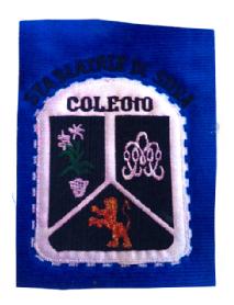 COLEGIO STA BEATRIZ DE SILVA