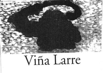 VIÑA LARRE