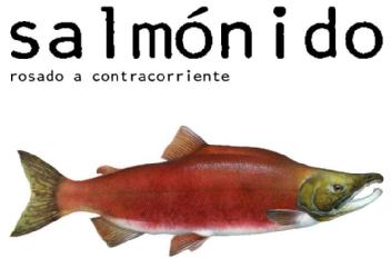 SALMONIDO ROSADO A CONTRACORRIENTE