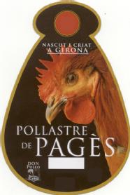 POLLASTRE DE PAGES NASCUT I CRIAT A GIRONA